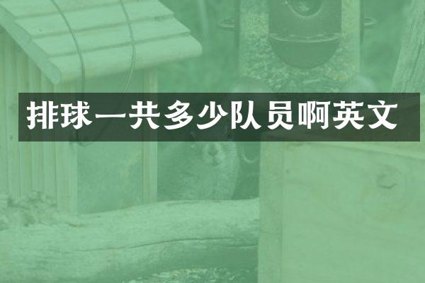 排球一共多少队员啊英文
