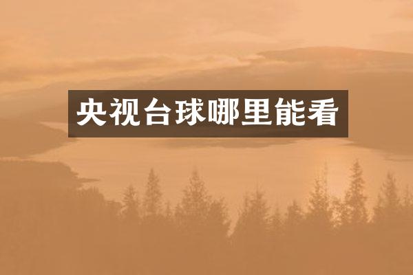 央视台球哪里能看