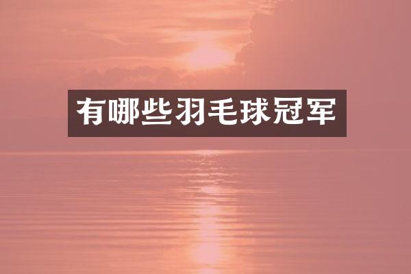 有哪些羽毛球冠军
