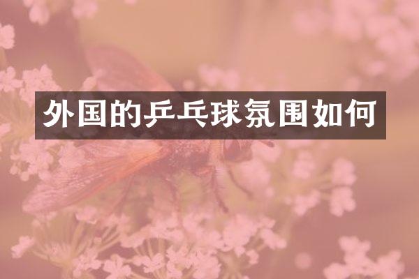 外国的乒乓球氛围如何