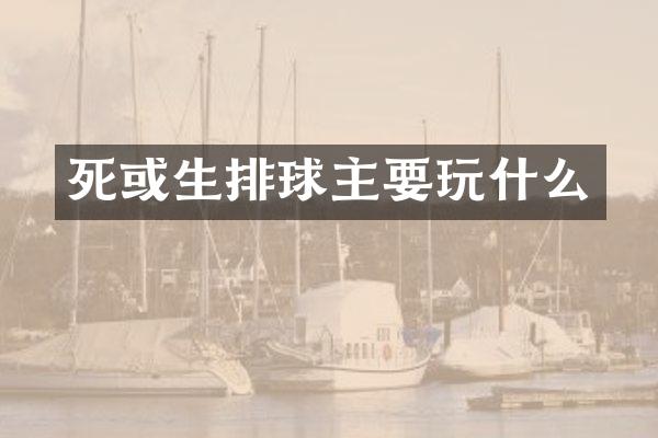 死或生排球主要玩什么