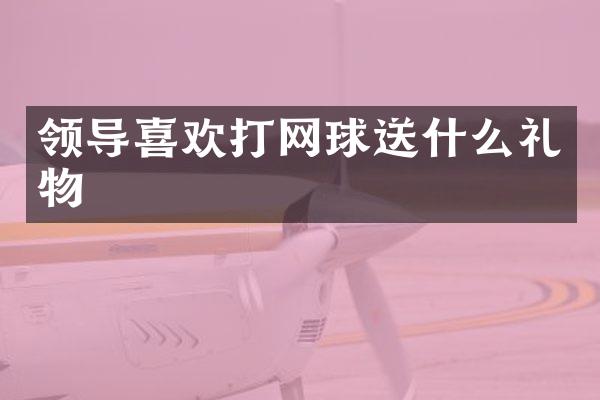 领导喜欢打网球送什么礼物