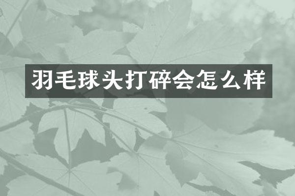 羽毛球头打碎会怎么样
