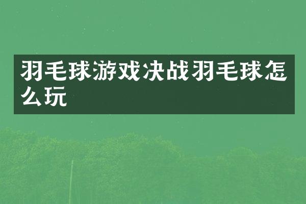 羽毛球游戏决战羽毛球怎么玩