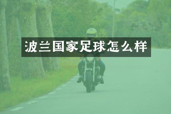 波兰国家足球怎么样