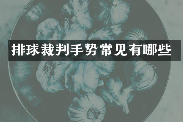排球裁判手势常见有哪些