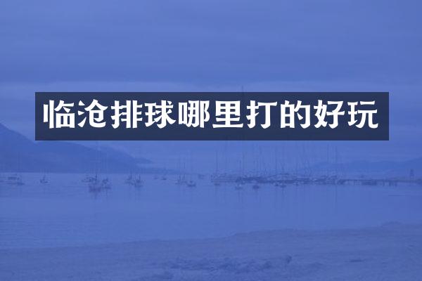 临沧排球哪里打的好玩
