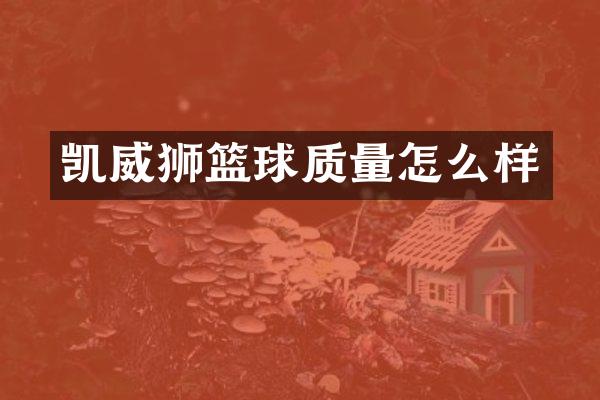 凯威狮篮球质量怎么样