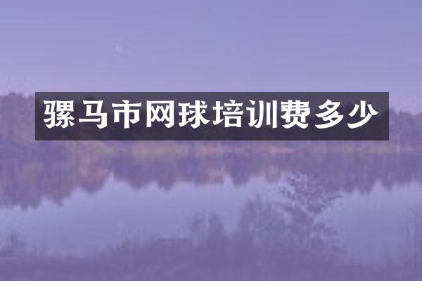 骡马市网球培训费多少