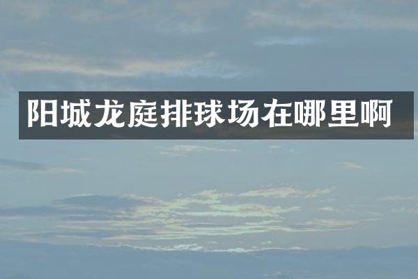阳城龙庭排球场在哪里啊