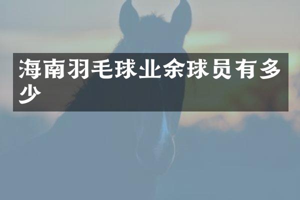 海南羽毛球业余球员有多少