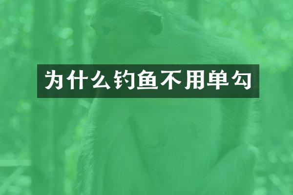 为什么钓鱼不用单勾