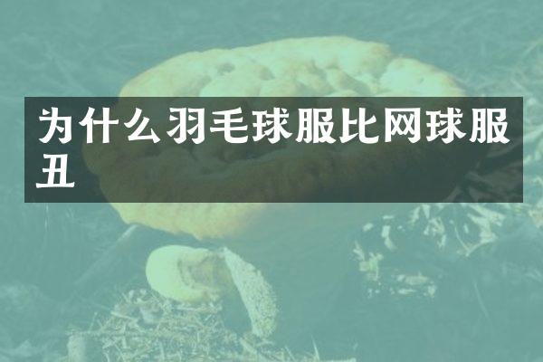为什么羽毛球服比网球服丑