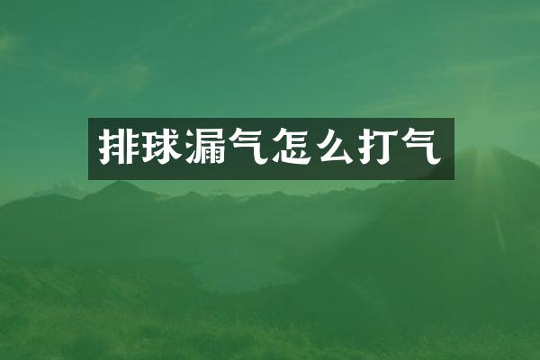 排球漏气怎么打气