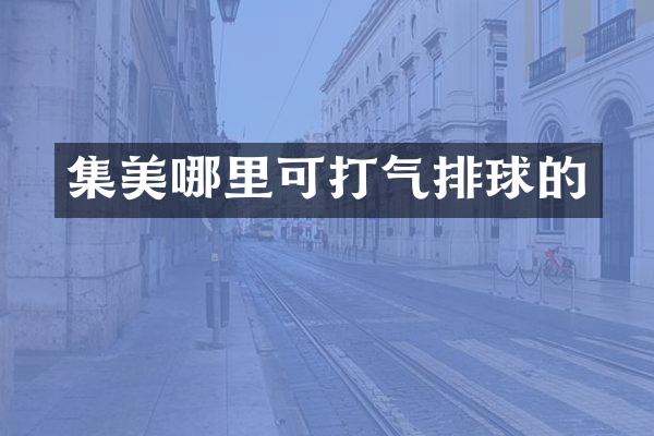 集美哪里可打气排球的
