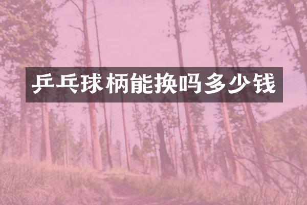 乒乓球柄能换吗多少钱