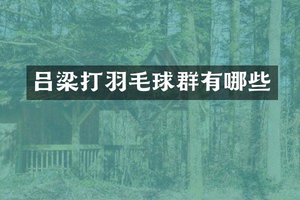 吕梁打羽毛球群有哪些