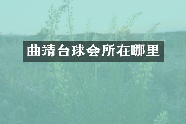 曲靖台球会所在哪里