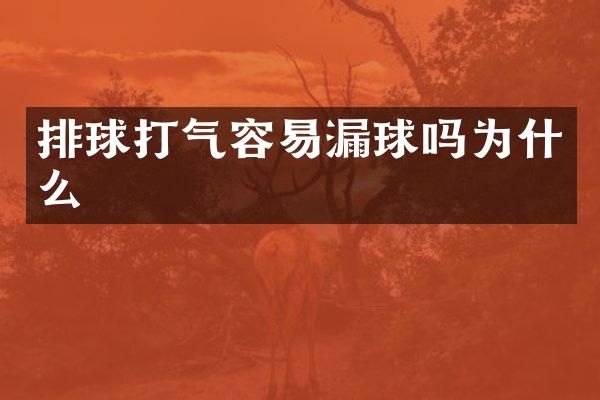 排球打气容易漏球吗为什么
