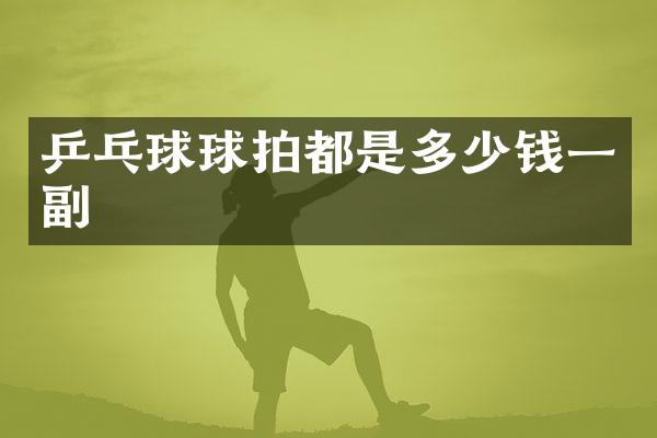 乒乓球球拍都是多少钱一副