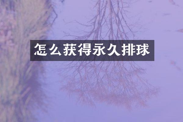 怎么获得永久排球