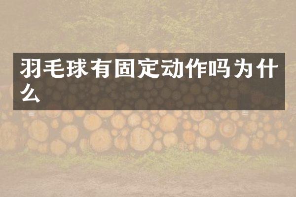 羽毛球有固定动作吗为什么
