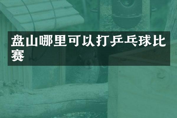 盘山哪里可以打乒乓球比赛