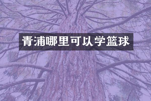 青浦哪里可以学篮球