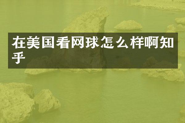 在美国看网球怎么样啊知乎