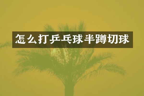 怎么打乒乓球半蹲切球