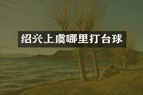 绍兴上虞哪里打台球