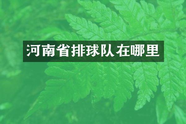 河南省排球队在哪里