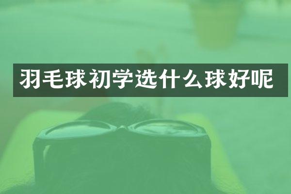 羽毛球初学选什么球好呢