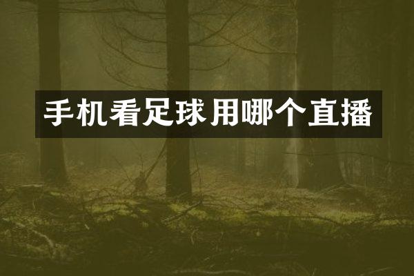 手机看足球用哪个直播