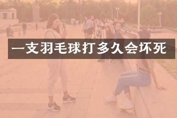一支羽毛球打多久会坏死