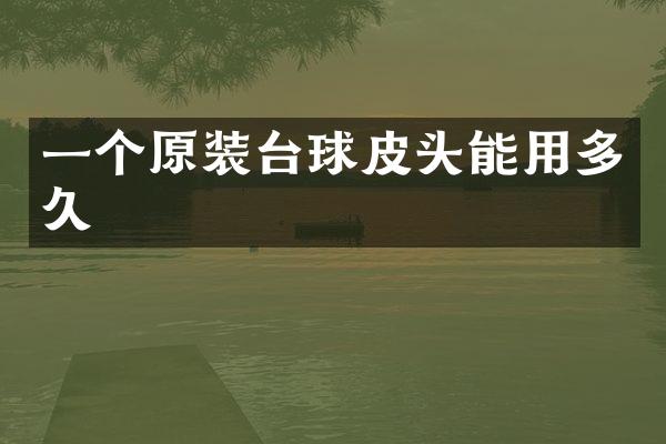 一个原装台球皮头能用多久