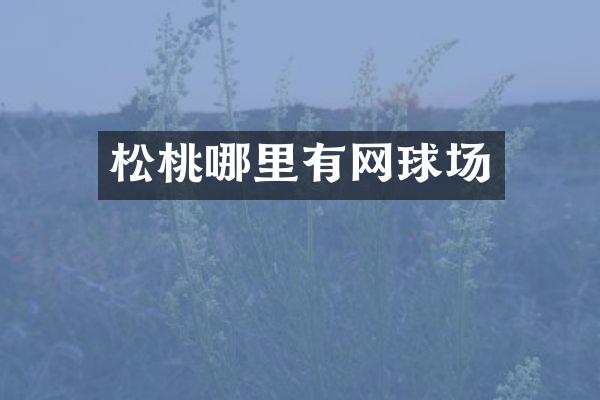 松桃哪里有网球场
