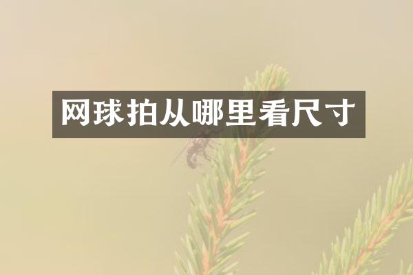 网球拍从哪里看尺寸
