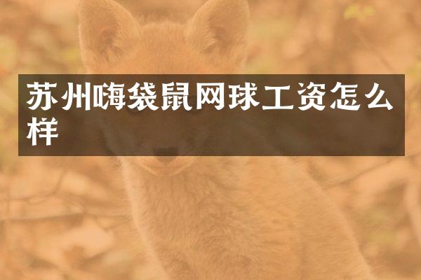 苏州嗨袋鼠网球工资怎么样