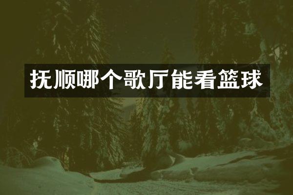抚顺哪个歌厅能看篮球