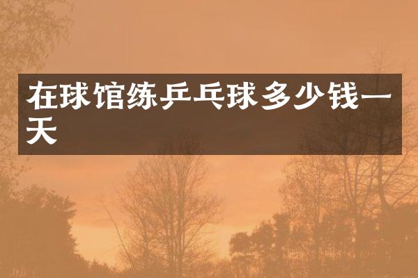 在球馆练乒乓球多少钱一天