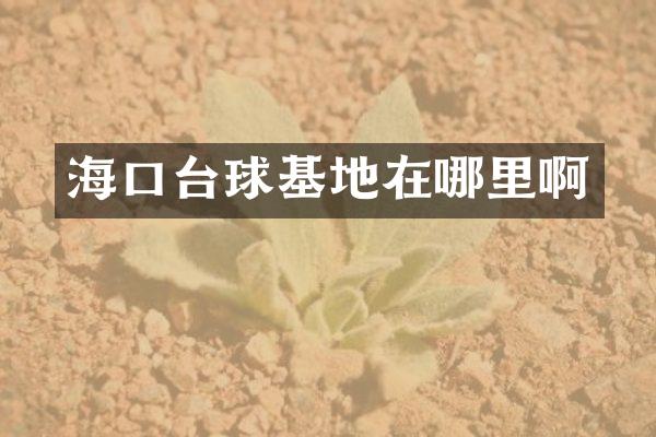海口台球基地在哪里啊
