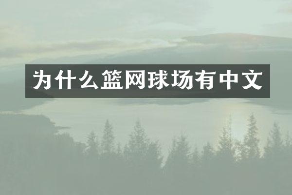 为什么篮网球场有中文
