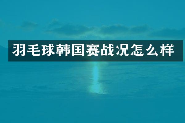 羽毛球韩国赛战况怎么样