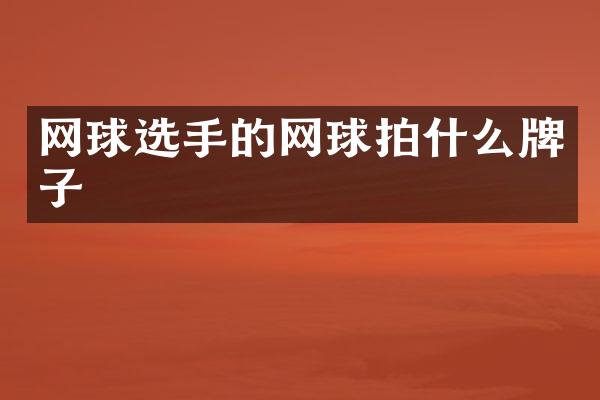 网球选手的网球拍什么牌子