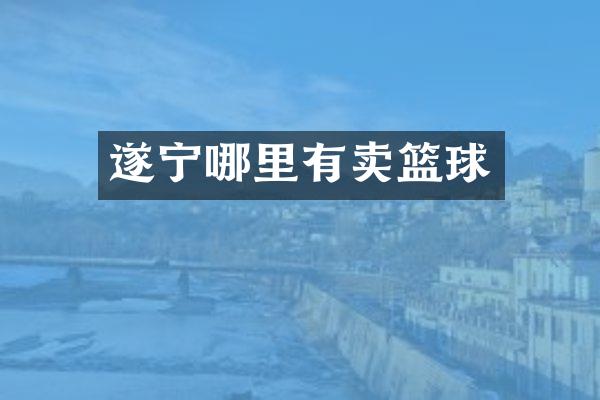 遂宁哪里有卖篮球