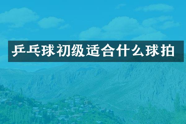 乒乓球初级适合什么球拍