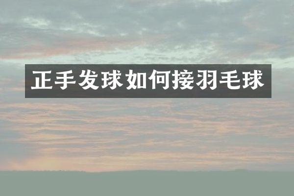正手发球如何接羽毛球