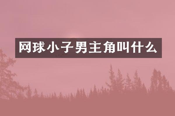 网球小子男主角叫什么
