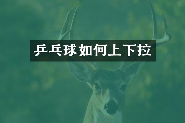 乒乓球如何上下拉
